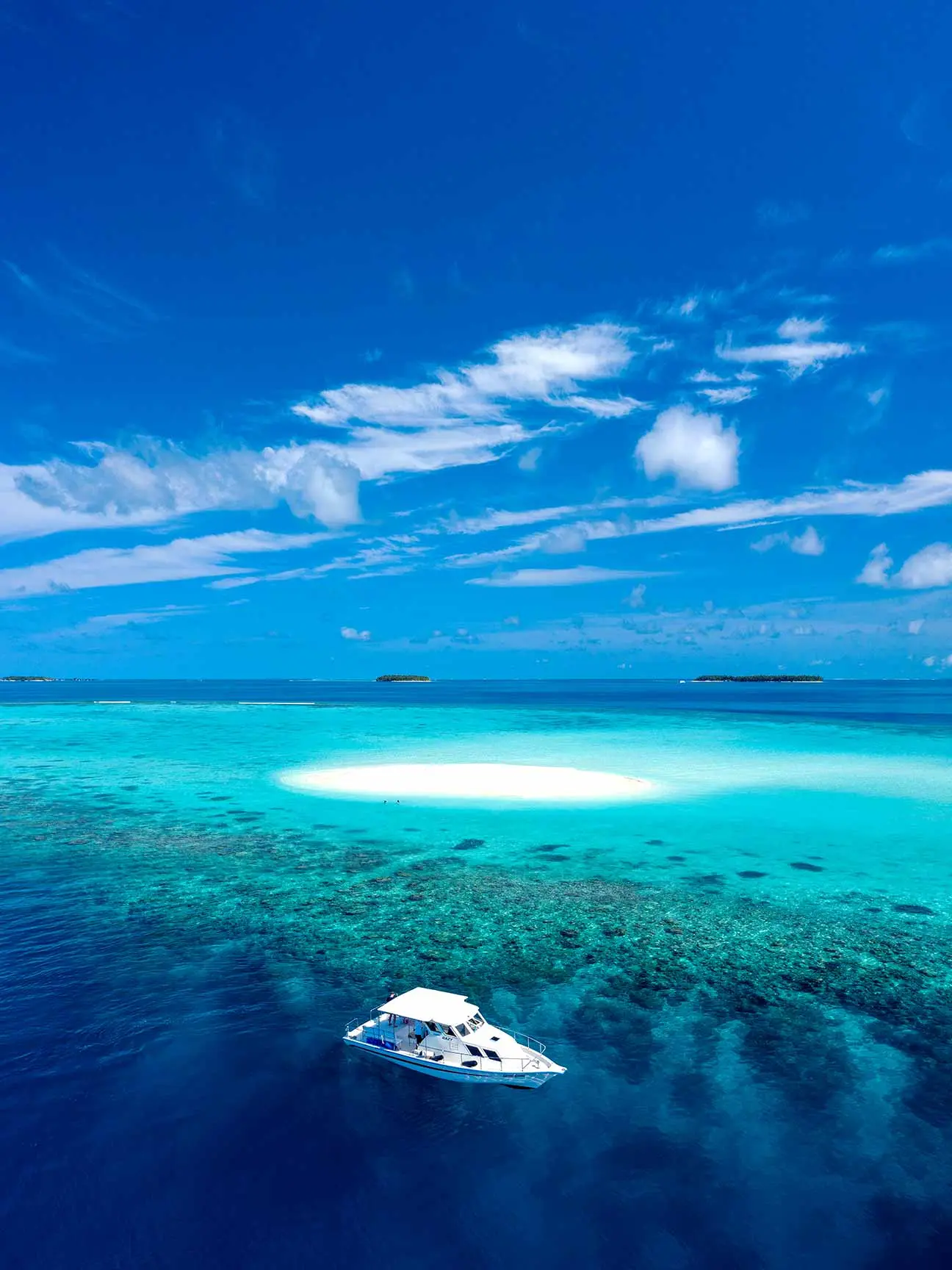 Excursion Image